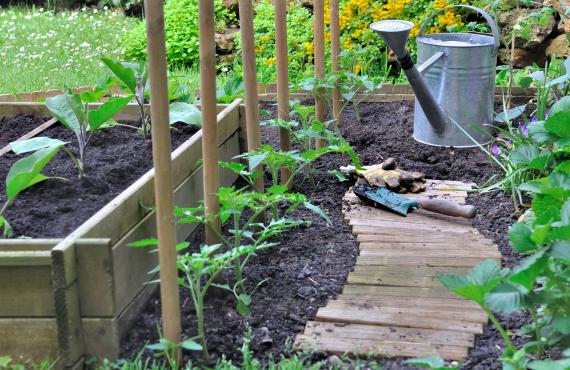 5 Astuces pour Aménager un Potager dans un Petit Jardin