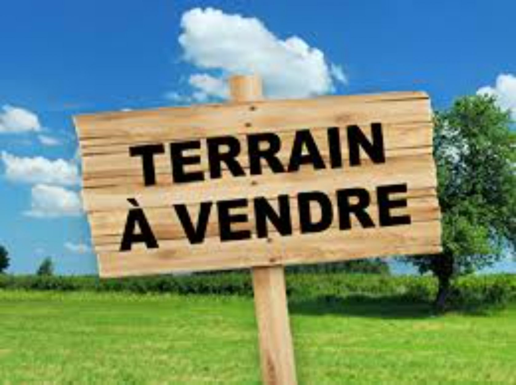 terrainsmaisons-terrain-TMGA0072500096E8B1